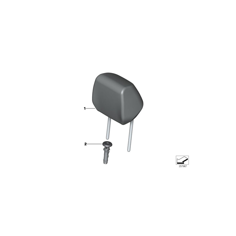 Genuine BMW 52109870870 F44 Headrest Leather OYSTER/GRAU (Inc. 228iX) | ML Performance US Car Parts