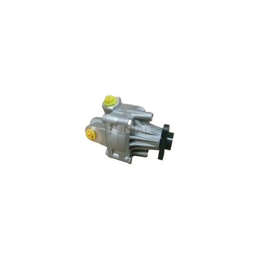 BUGIAD Bsp24295 Power Steering Pump