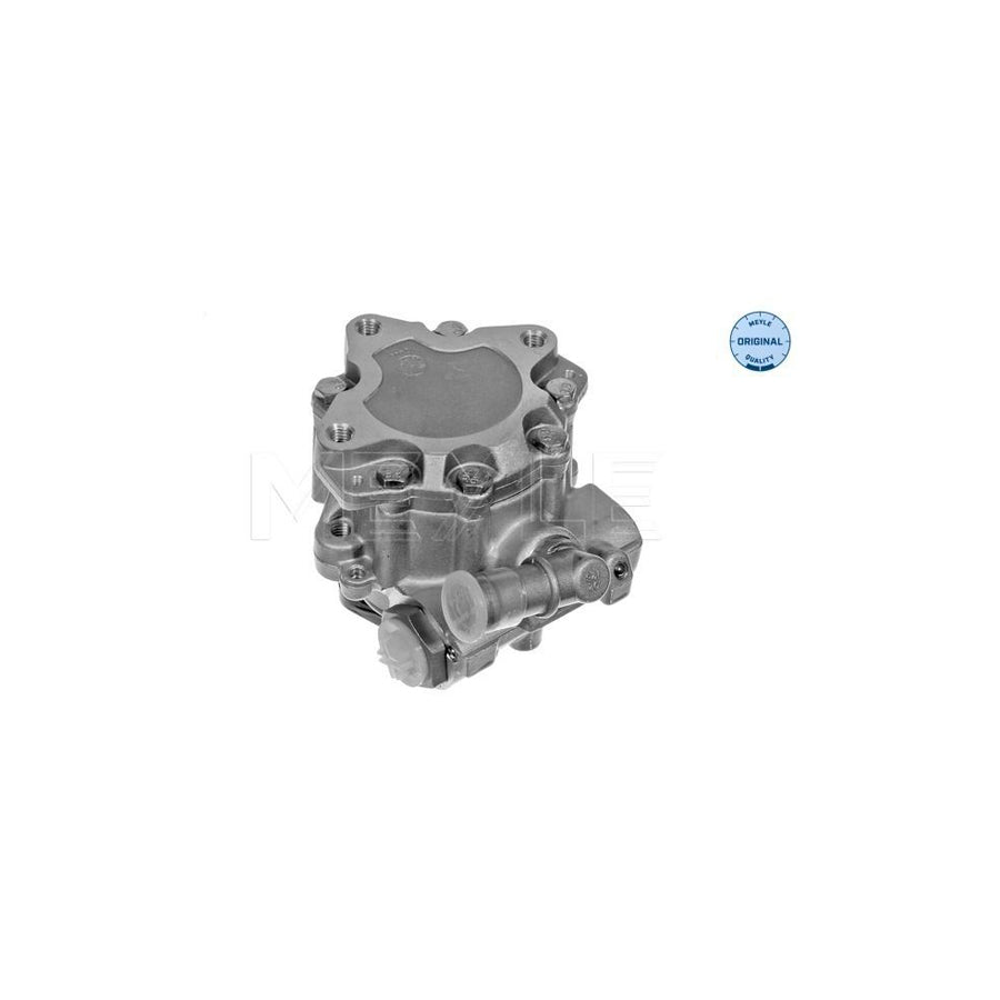Meyle 114 631 0020 Power Steering Pump For Audi A6
