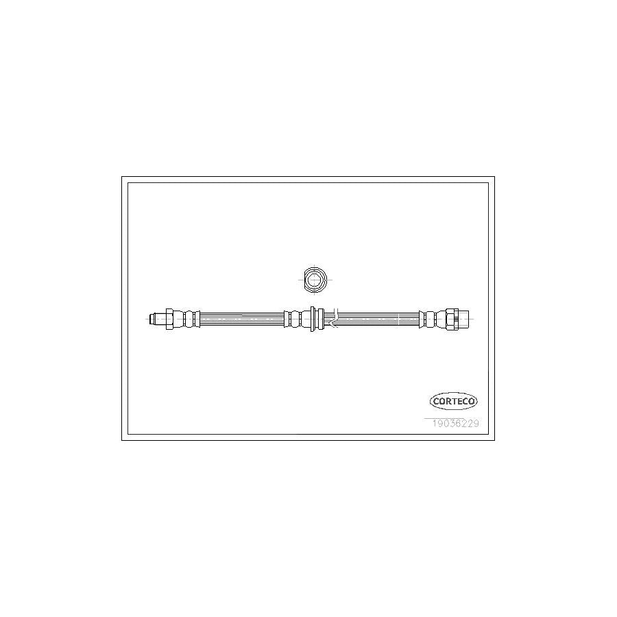 Corteco 19036229 Brake Hose for BMW X3 (E83)