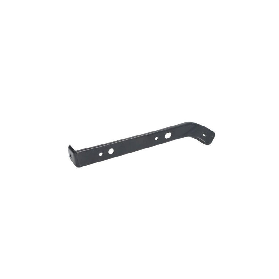 Blic 6504-02-2586411P Holder, Mudguard For Ford Usa Mustang