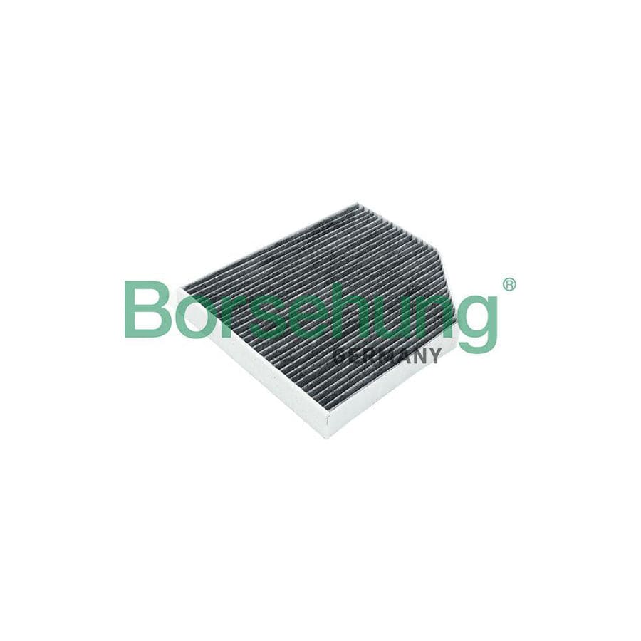 Borsehung B12801 Pollen Filter