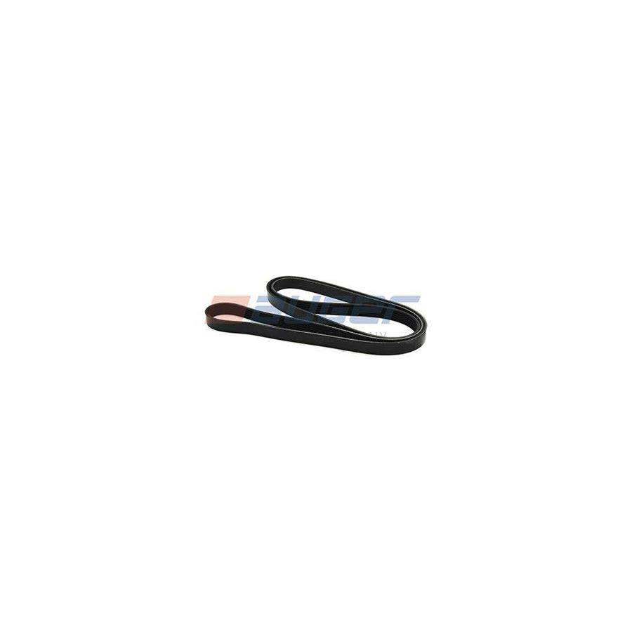 Auger 79903 V-Ribbed Belt