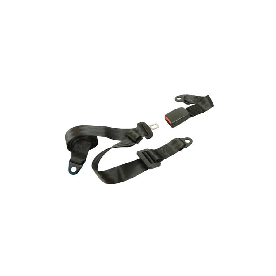 Carpoint 1434607 Safety Belt
