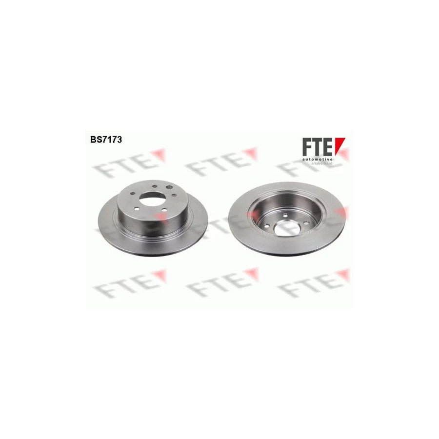 FTE Bs7173 Brake Disc