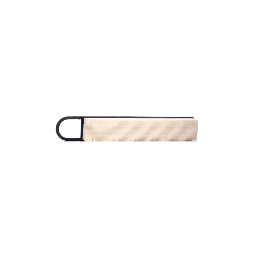 Ridex 8A0176 Air Filter