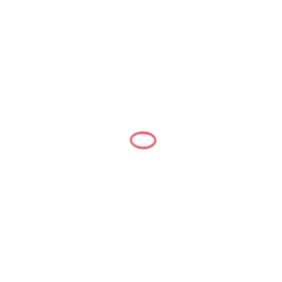 Genuine BMW 13627836245 E61 E60 E63 O-Ring (Inc. M5) | ML Performance US Car Parts