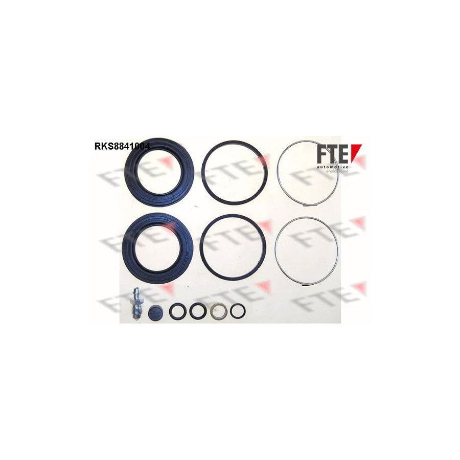 FTE Rks8841004 Repair Kit, Brake Caliper