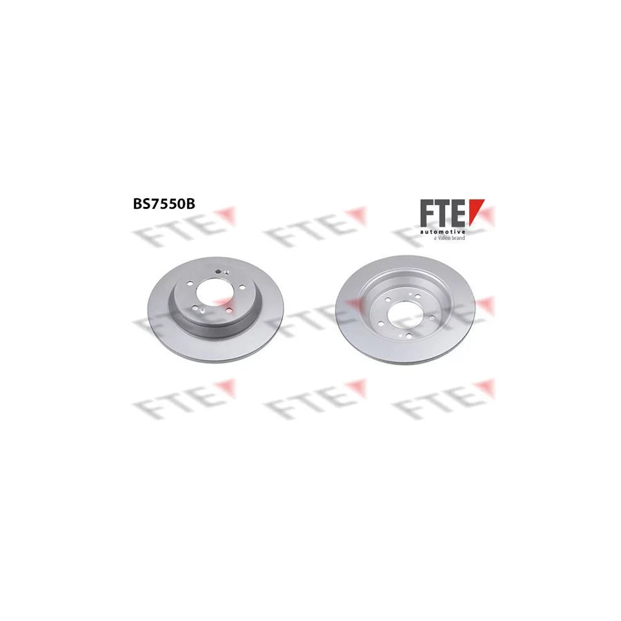 FTE 9082275 Brake Disc for KIA Carens IV (Rp)