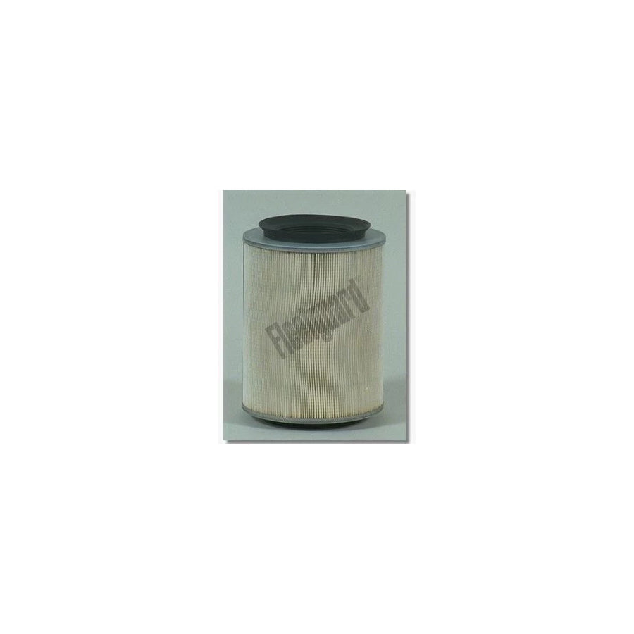 Fleetguard Af25438 Air Filter