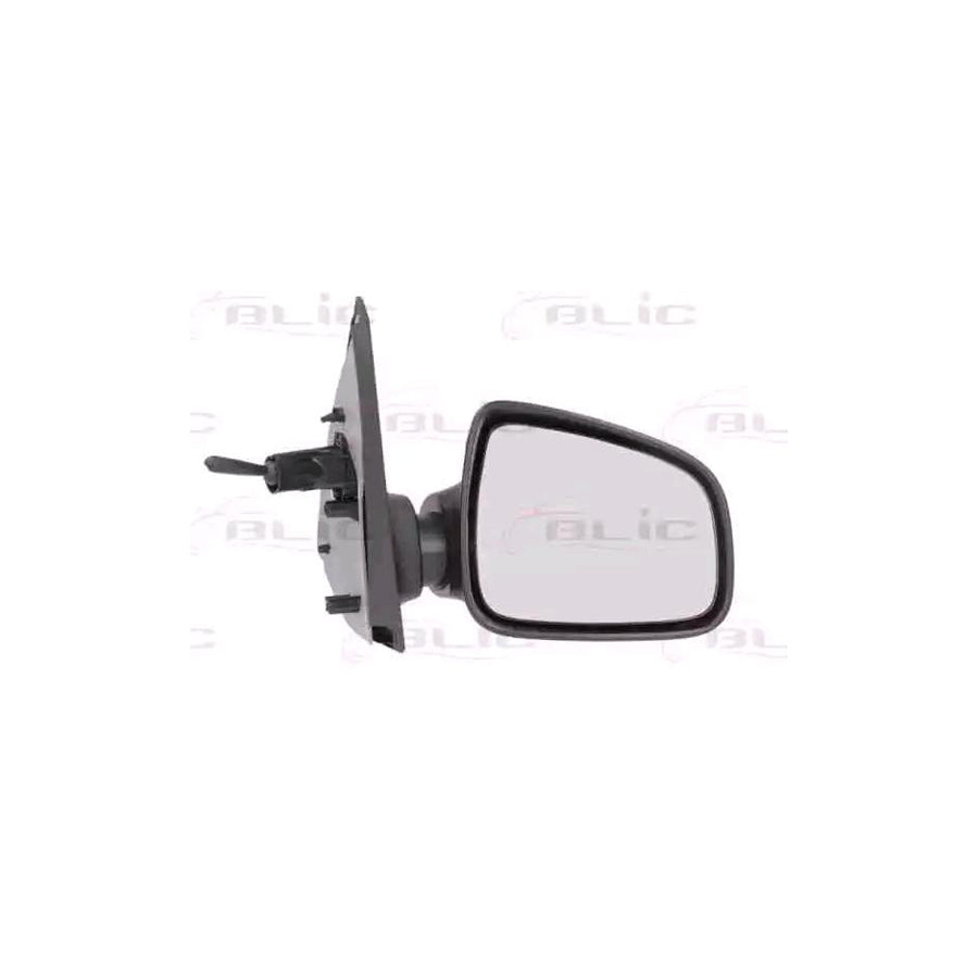 Blic 5402-67-2001140P Wing Mirror