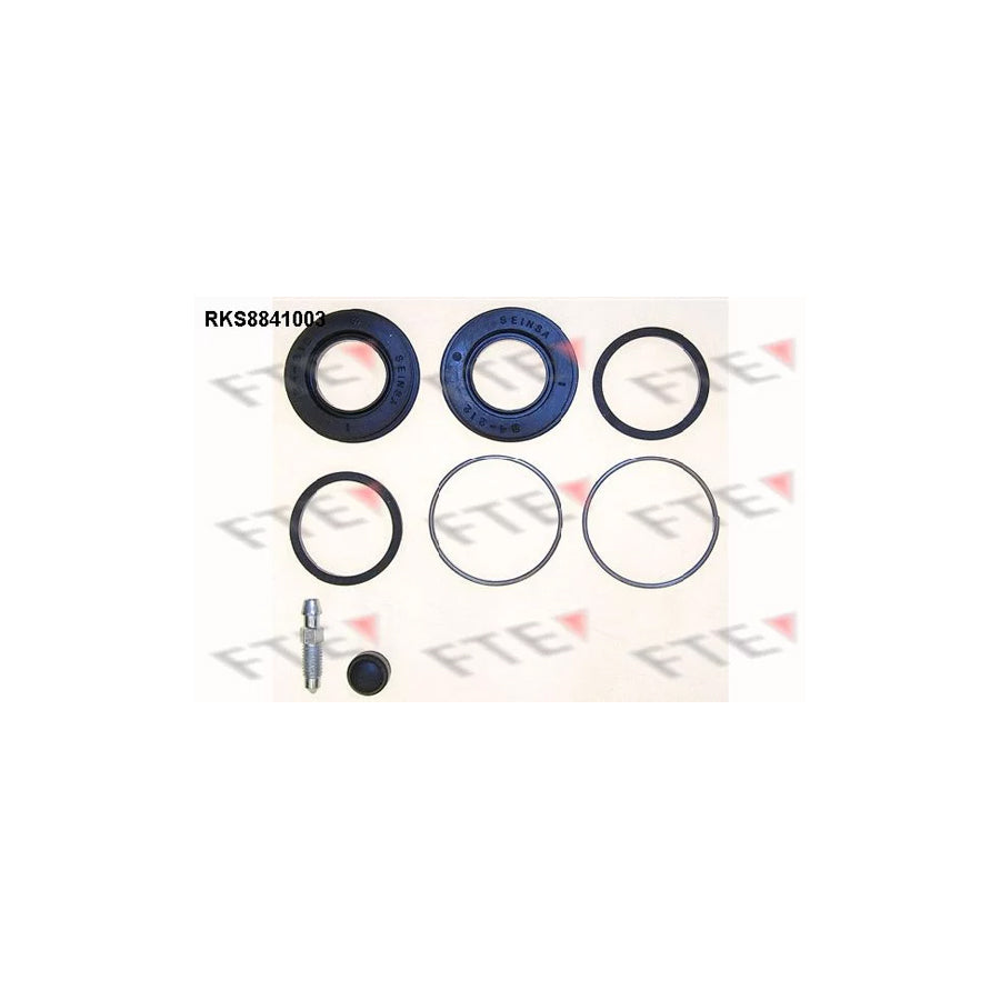 FTE Rks8841003 Repair Kit, Brake Caliper
