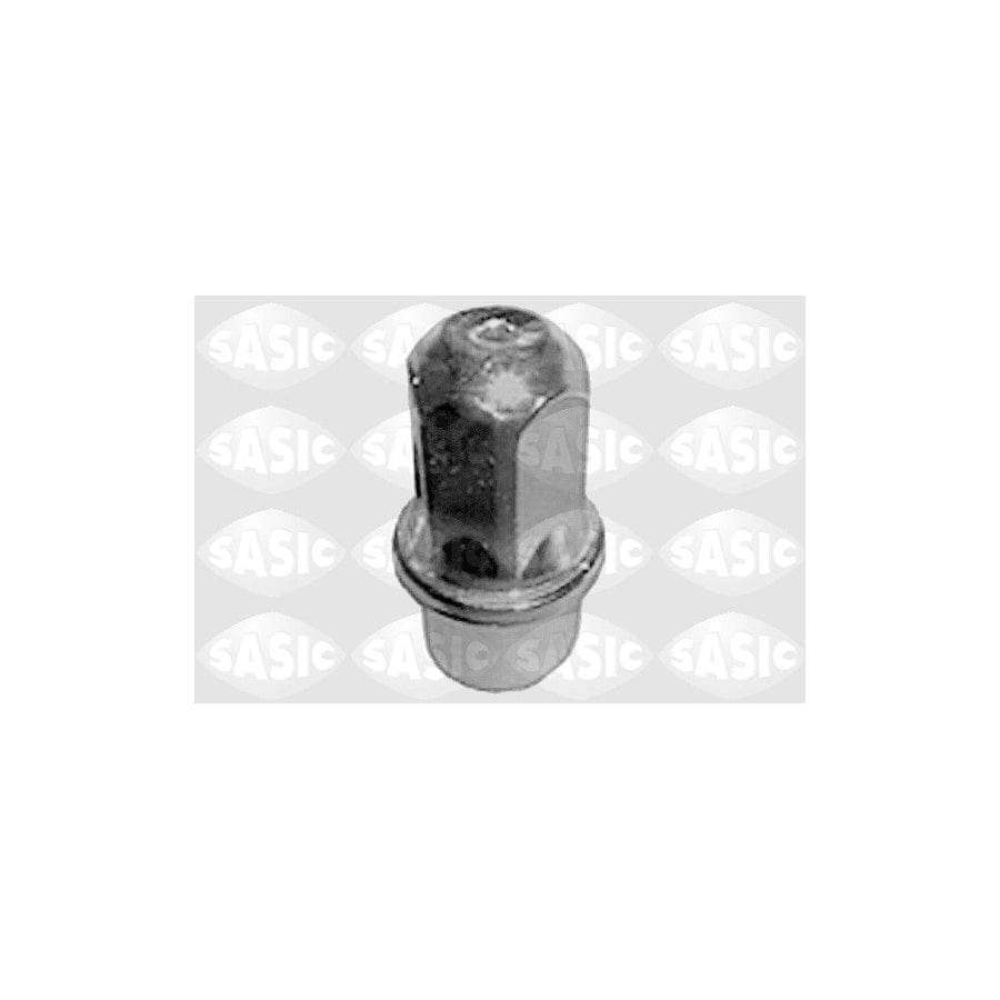 SASIC 4055335 Wheel Nut for PEUGEOT 505