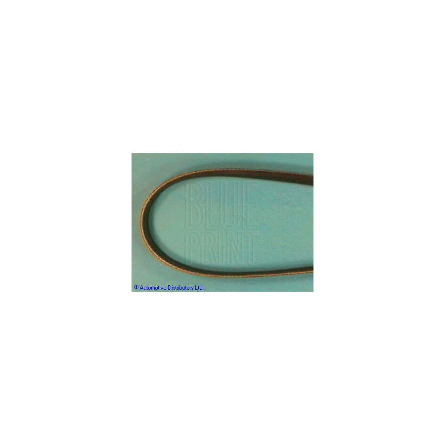 Blue Print Adt39622 V-Ribbed Belt