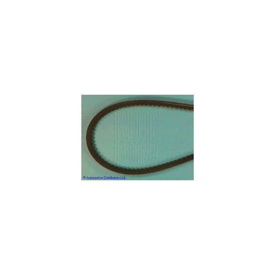 Blue Print Adt39621 V-Ribbed Belt