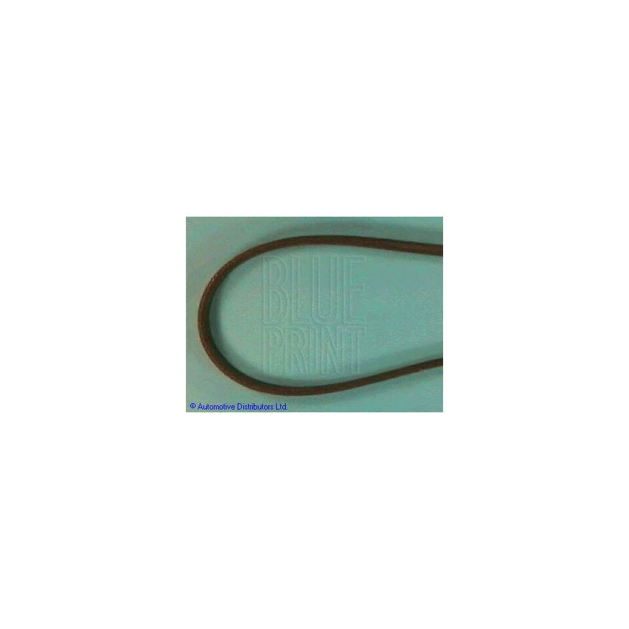 Blue Print Adt39620 V-Ribbed Belt