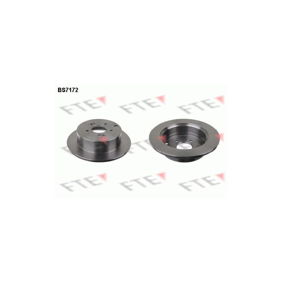 FTE Bs7172 Brake Disc for Hyundai Santa Fe II (CM)
