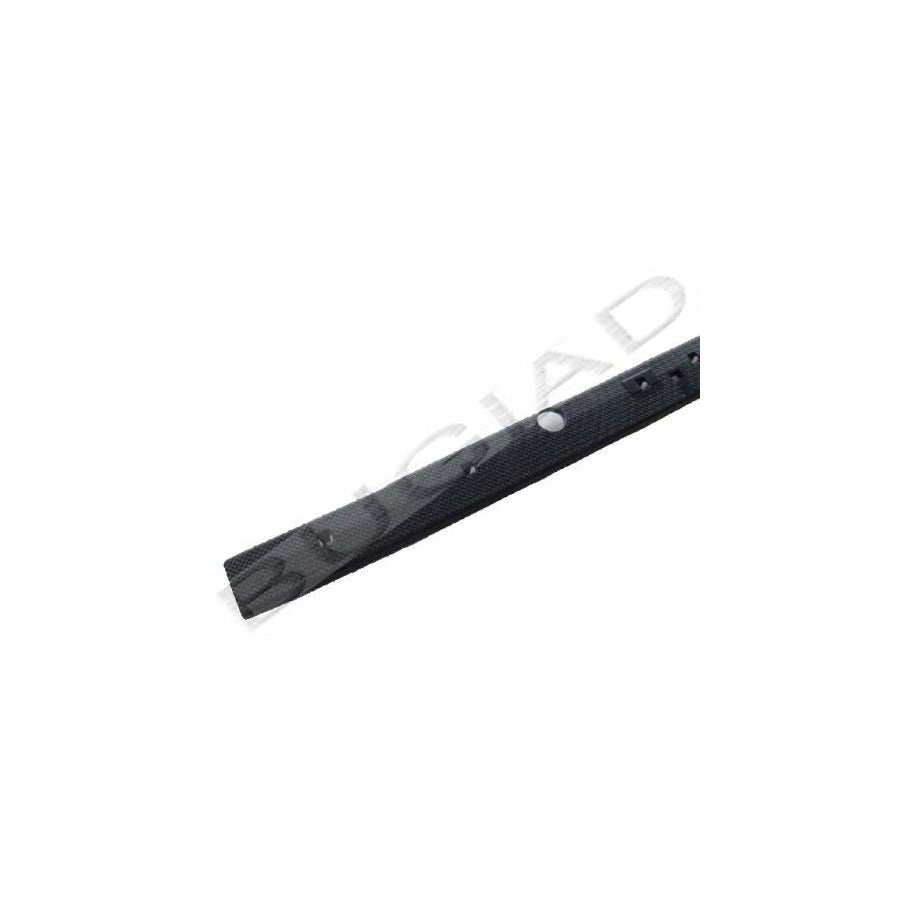 BUGIAD Bsp22227 Door Molding for VW Lt