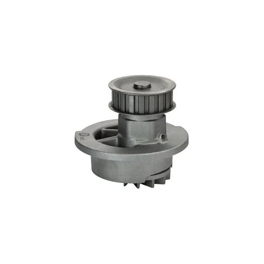 Denckermann A310024 Water Pump