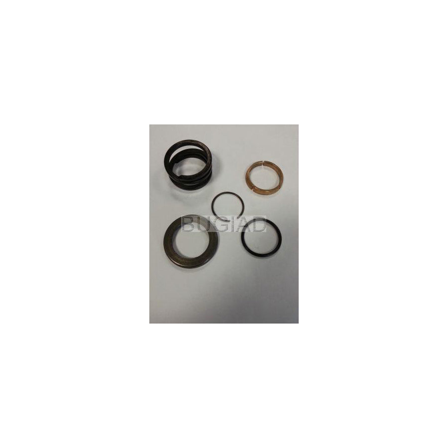 BUGIAD Bsp24325 Stop Disc, Planetary Gearbox