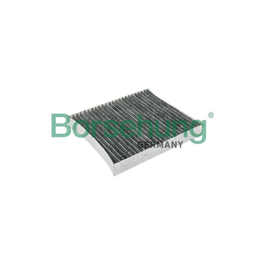 Borsehung B12797 Pollen Filter