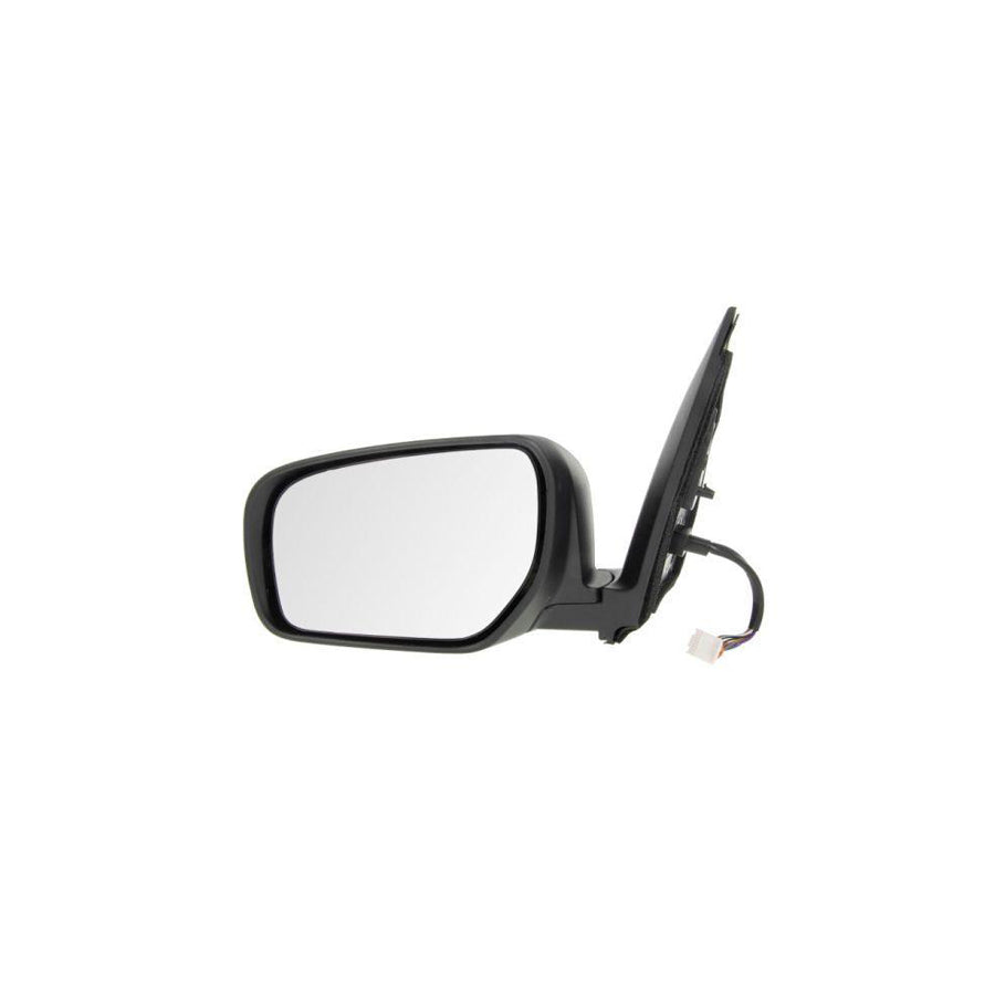 Blic 5402-09-2002165P Wing Mirror For Renault Koleos I (Hy)