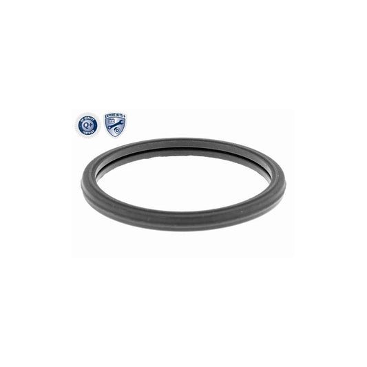 Ackoja A52-1512 Shock Absorber | ML Performance US