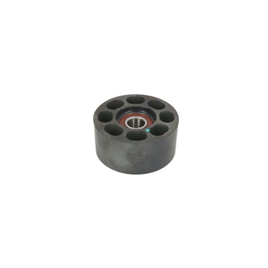 BTA B05-Ag-080 Bush, Tensioner Pulley Lever