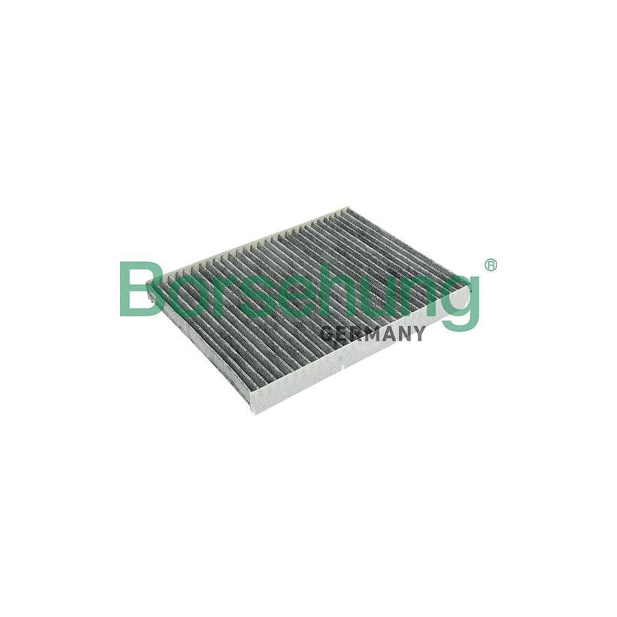 Borsehung B12796 Pollen Filter