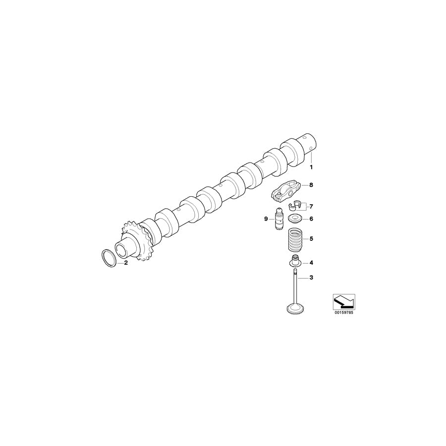 Genuine BMW 11347805971 R56 Valve Spring (Inc. Cooper D & One D) | ML Performance US Car Parts