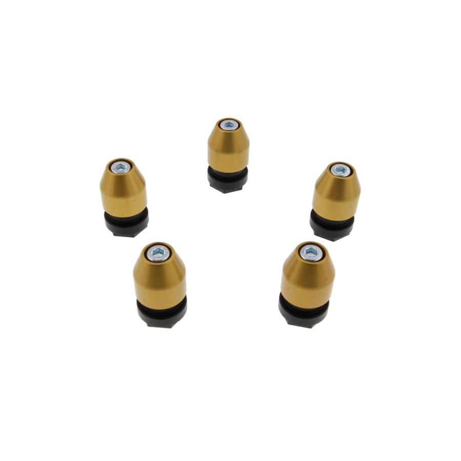 Girodisc CLP-K5 Center Lock Drive Pin Kit