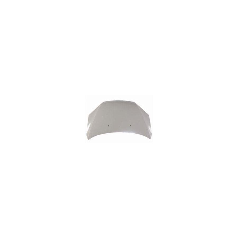 Abakus 01712100 Bonnet for Ford Focus