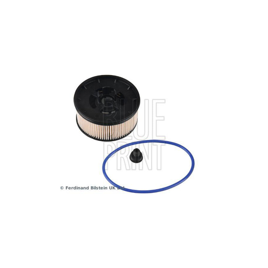 Blue Print Adbp230022 Fuel Filter