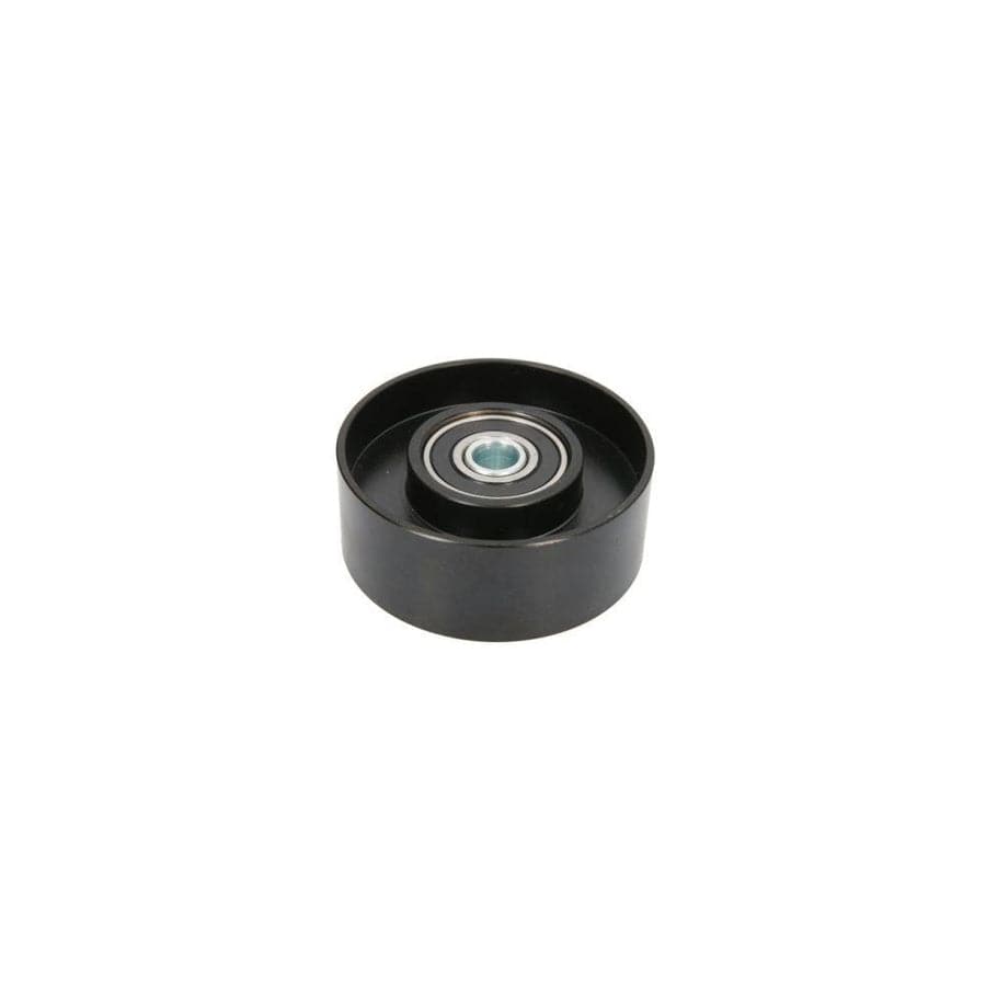 BTA B05-Ag-076 Tensioner Pulley