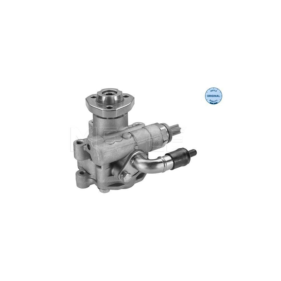 Meyle 114 631 0038 Power Steering Pump For VW Crafter