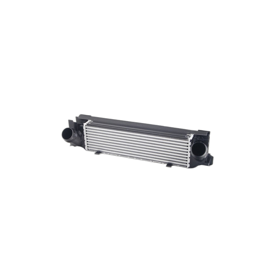 Genuine BMW 17517600531 F34 F87 F21 Charge-Air Cooler (Inc. M235iX, 435iX & Hybrid 3) | ML Performance US Car Parts