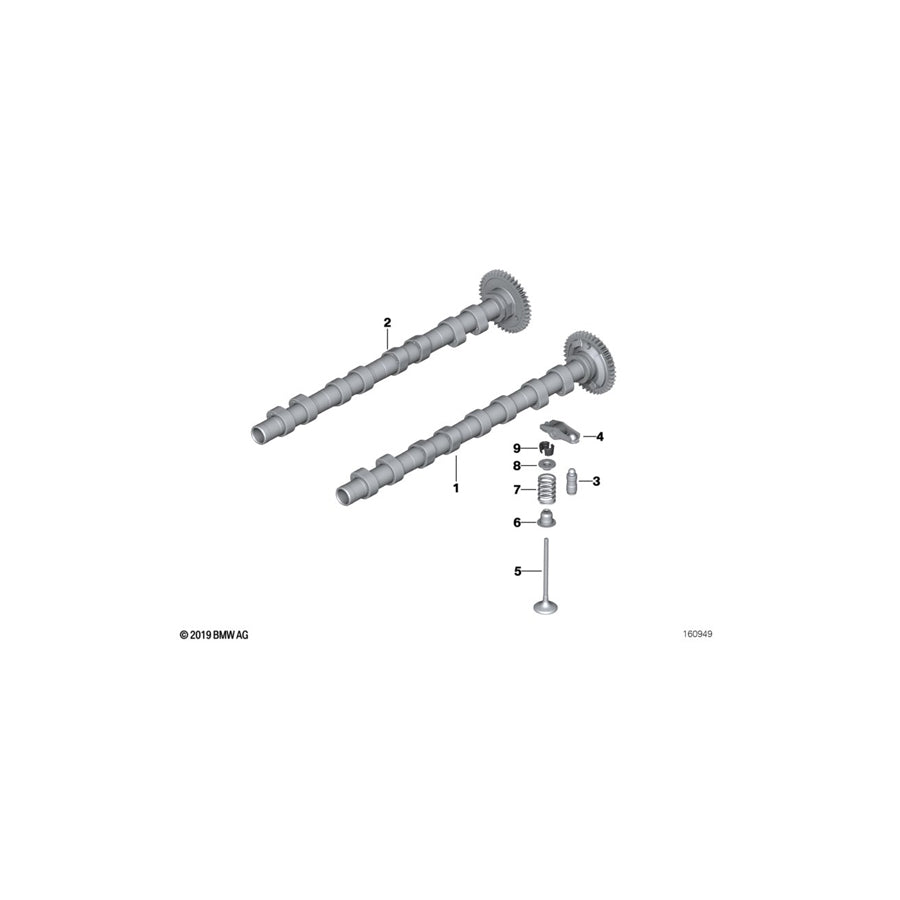 Genuine BMW 11347805366 F34 R56 E88 Valve Spring (Inc. 328d, X5 30dX & 420dX) | ML Performance US Car Parts