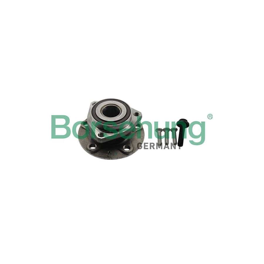 Borsehung B19232 Wheel Bearing Kit
