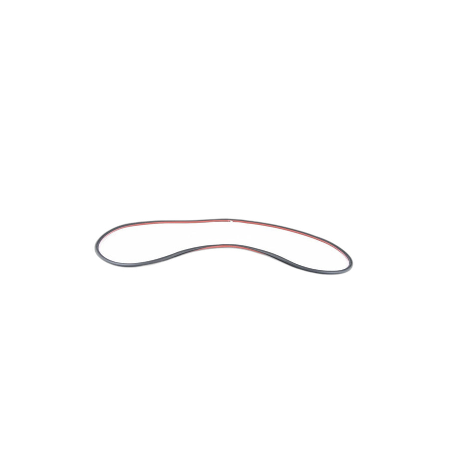 Genuine BMW 51767221844 E71 E72 Door Weatherstrip Rear Right (Inc. X6) | ML Performance US Car Parts