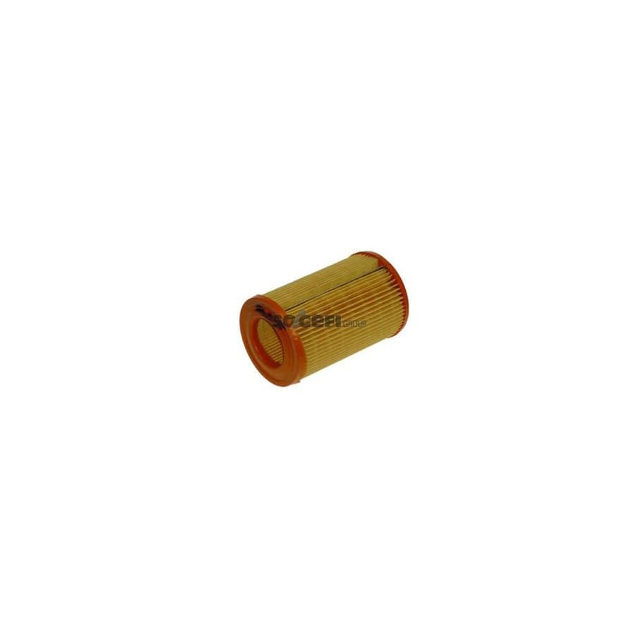 Purflux A1055 Air Filter