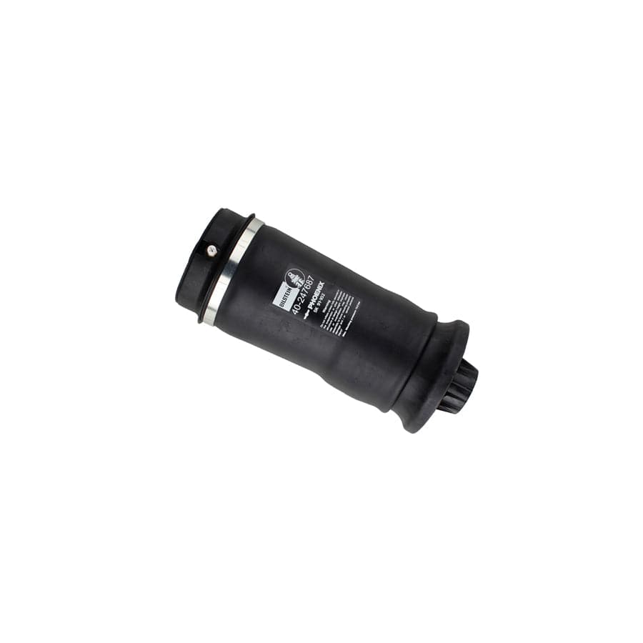 Bilstein 40-247687 MERCEDES-BENZ W/X164 W/X166 B3 OE Replacement Rear Air Suspension Spring 1 | ML Performance US Car Parts