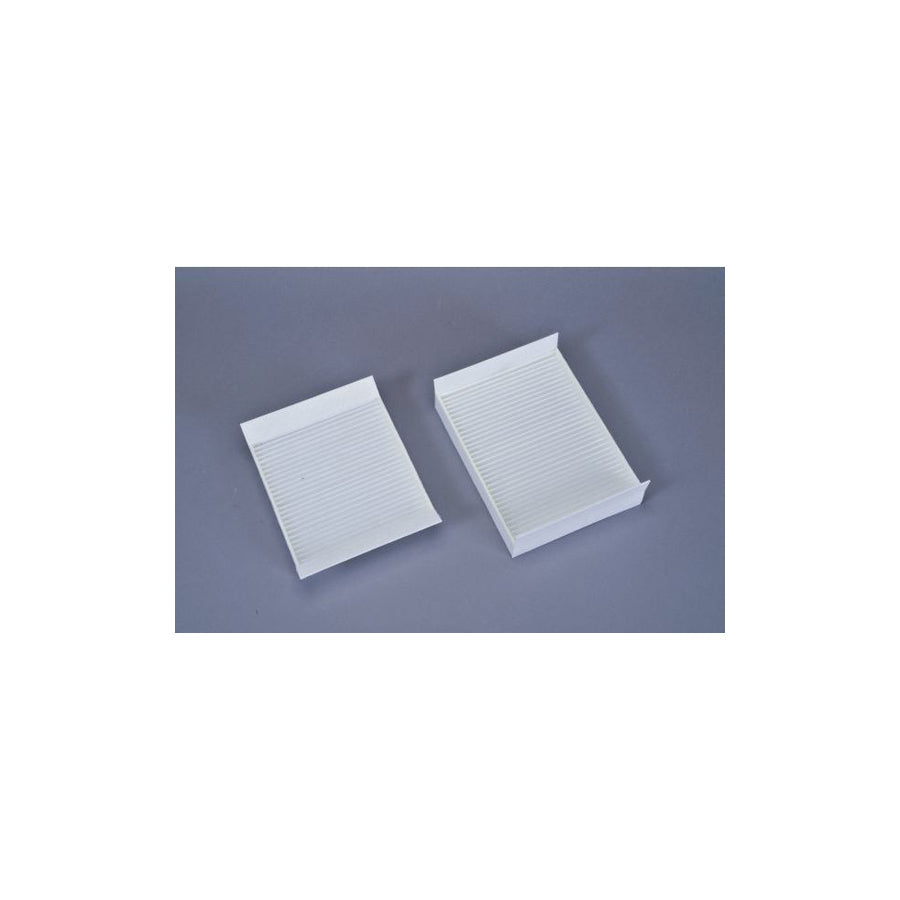 AUTOMEGA 180004810 Pollen Filter