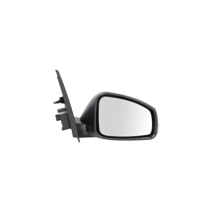 Blic 5402-09-2002190P Wing Mirror
