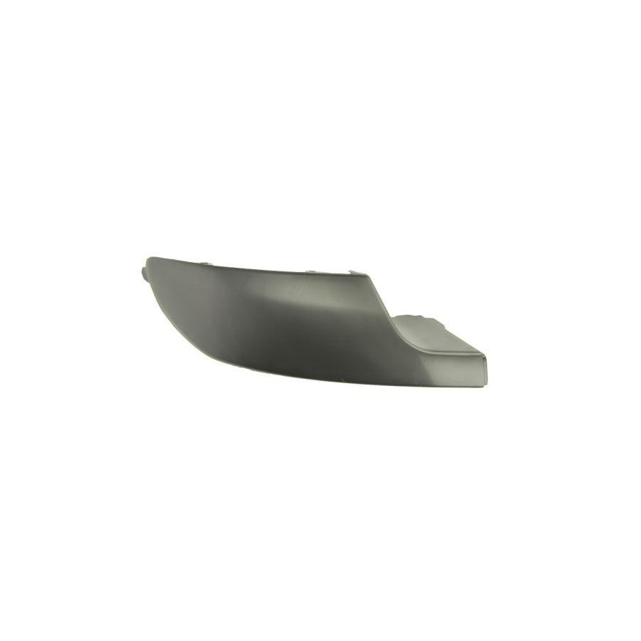 Blic 5703-05-5519975P Bumper Moulding For Peugeot 308