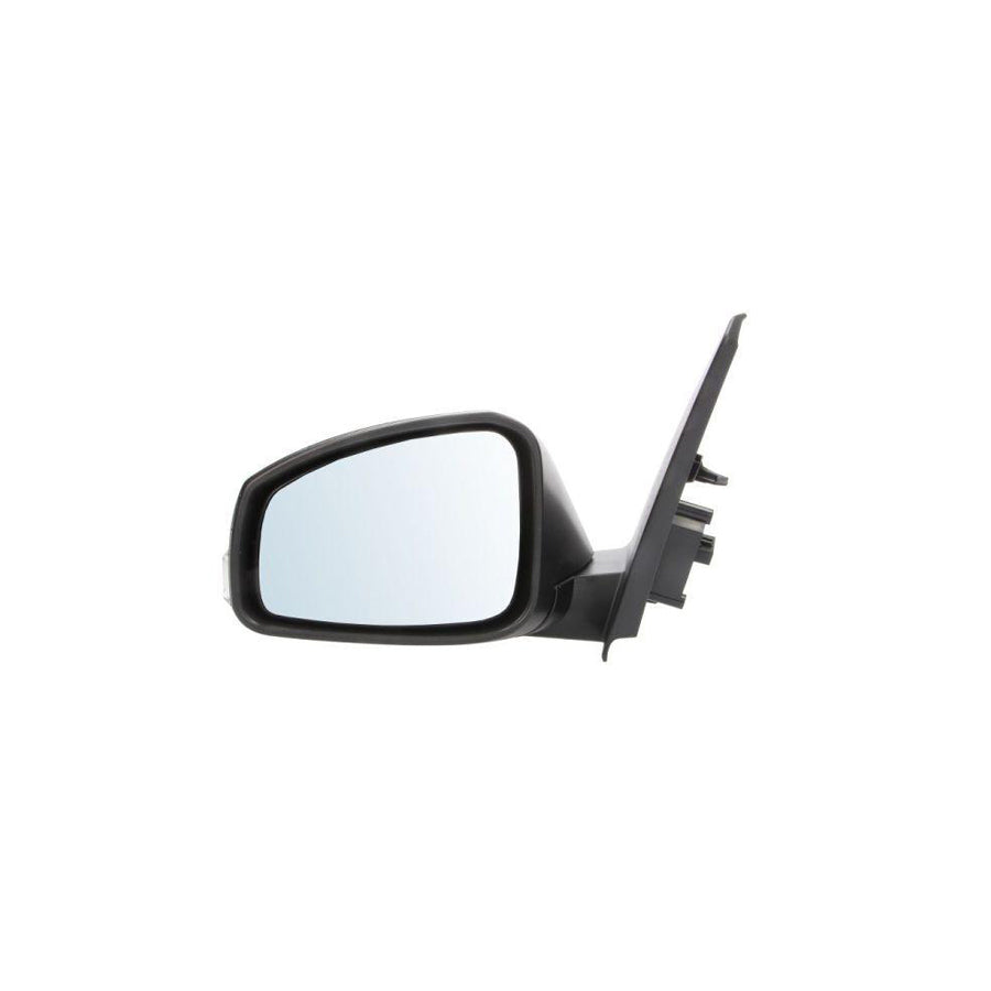 Blic 5402-09-2002189P Wing Mirror