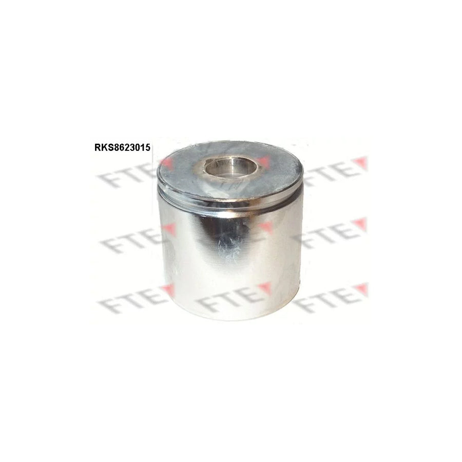 FTE Rks8623015 Piston, Brake Caliper