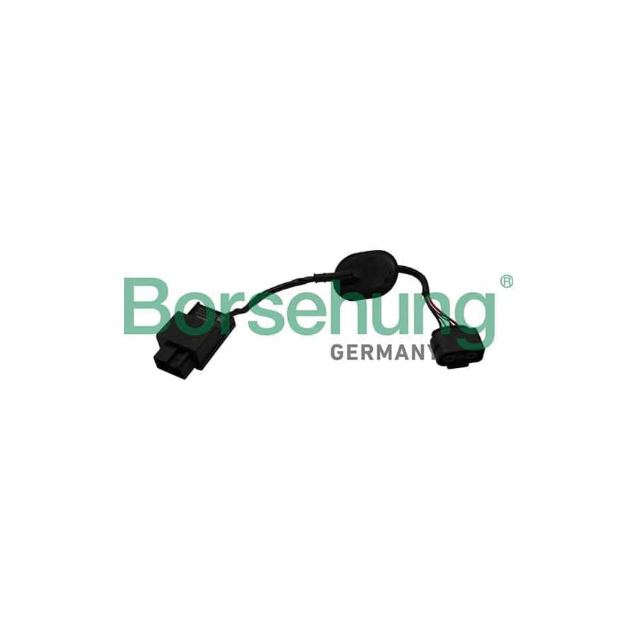 Borsehung B19230 Control Unit, Fuel Pump