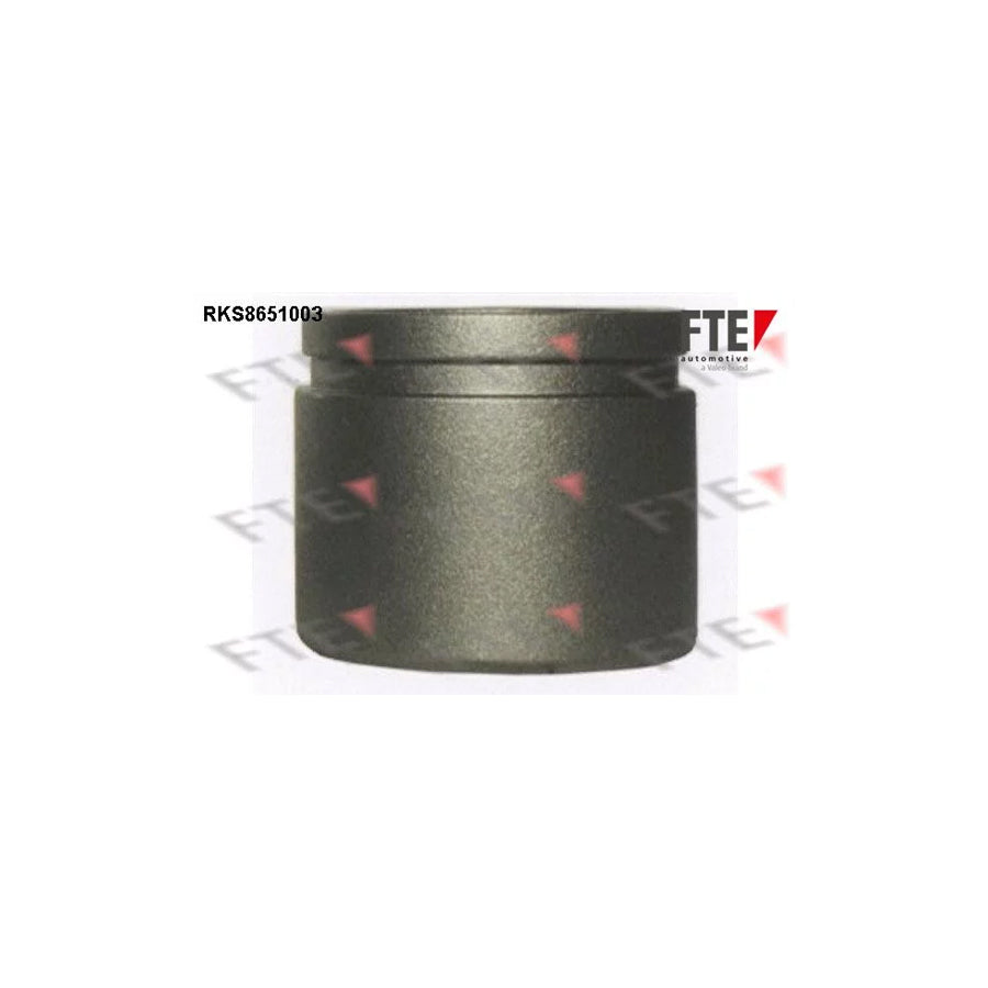 FTE 9313457 Piston, Brake Caliper