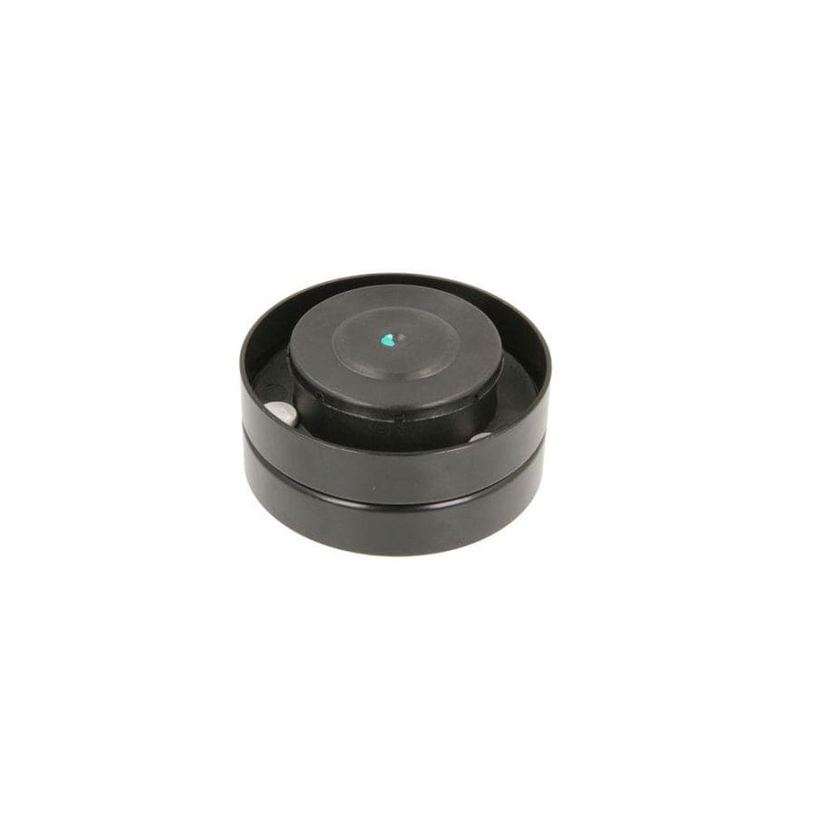 BTA B05-Ag-108 Tensioner Pulley