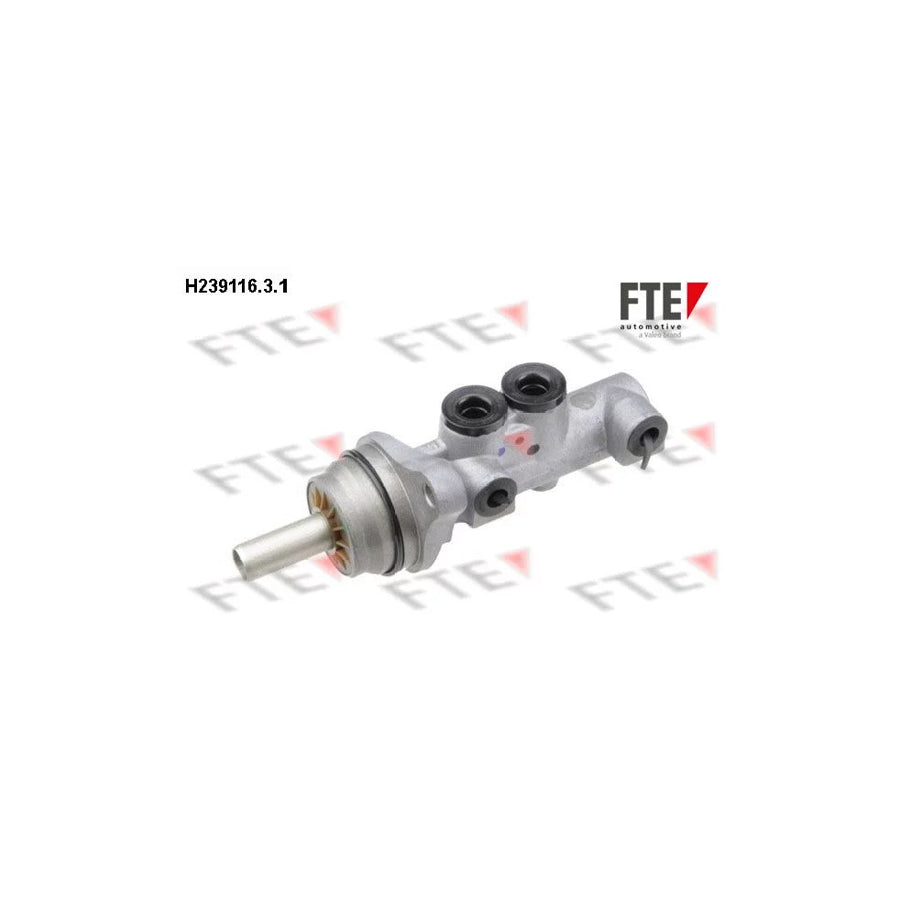 FTE H239116.3.1 Brake Master Cylinder